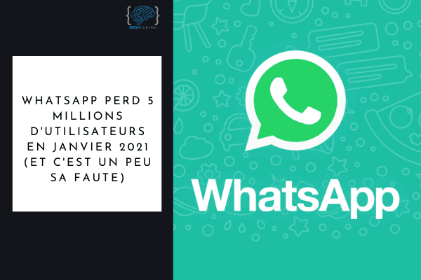 Whatsapp perte utilisateurs