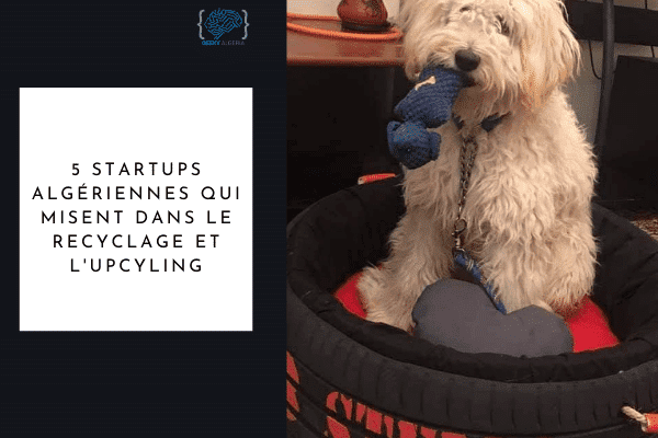 Startups algériennes upcycling recyclage